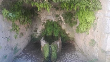 Vista da propriedade