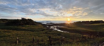 Star na Mara is warm, welcoming, dog-friendly — a perfect Highland retreat!