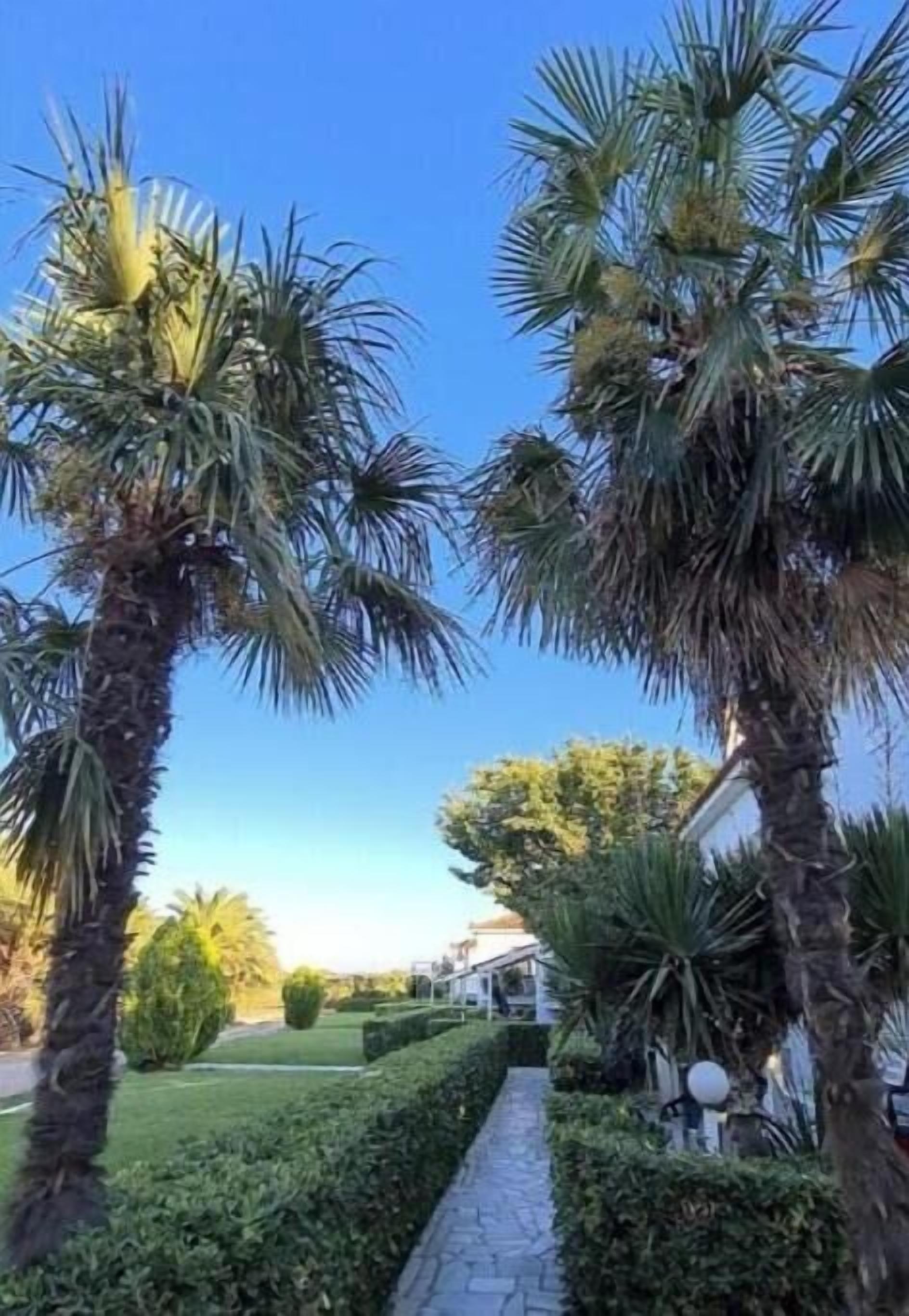 Parco della struttura