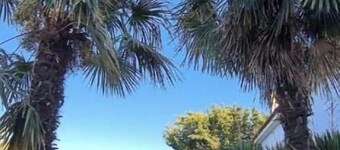 Antissa House in Carpe Diem Villas and Houses