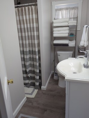 Shower, hair dryer, towels, toilet paper - Charming 2-bedroom house in beautiful Prudenville with lake access. (Prudenville)