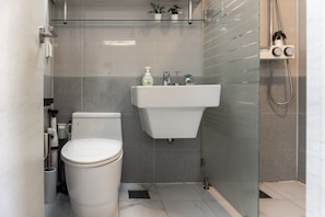 Hair dryer, towels, soap, toilet paper