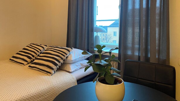 Habitación de hotel con cama, almohadas, una planta en maceta y vistas a edificios a través del ventanal.