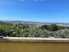 Vista da propriedade