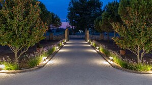 A paved pathway flanked by trees and illuminated by ground lights, leading to a stone archway.