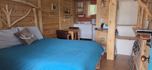 Snuggle In with Your Pet in True Colorado Style Room with Queen bed/Kitchenette