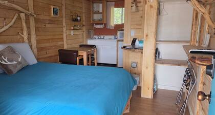 Snuggle In with Your Pet in True Colorado Style Room with Queen bed/Kitchenette