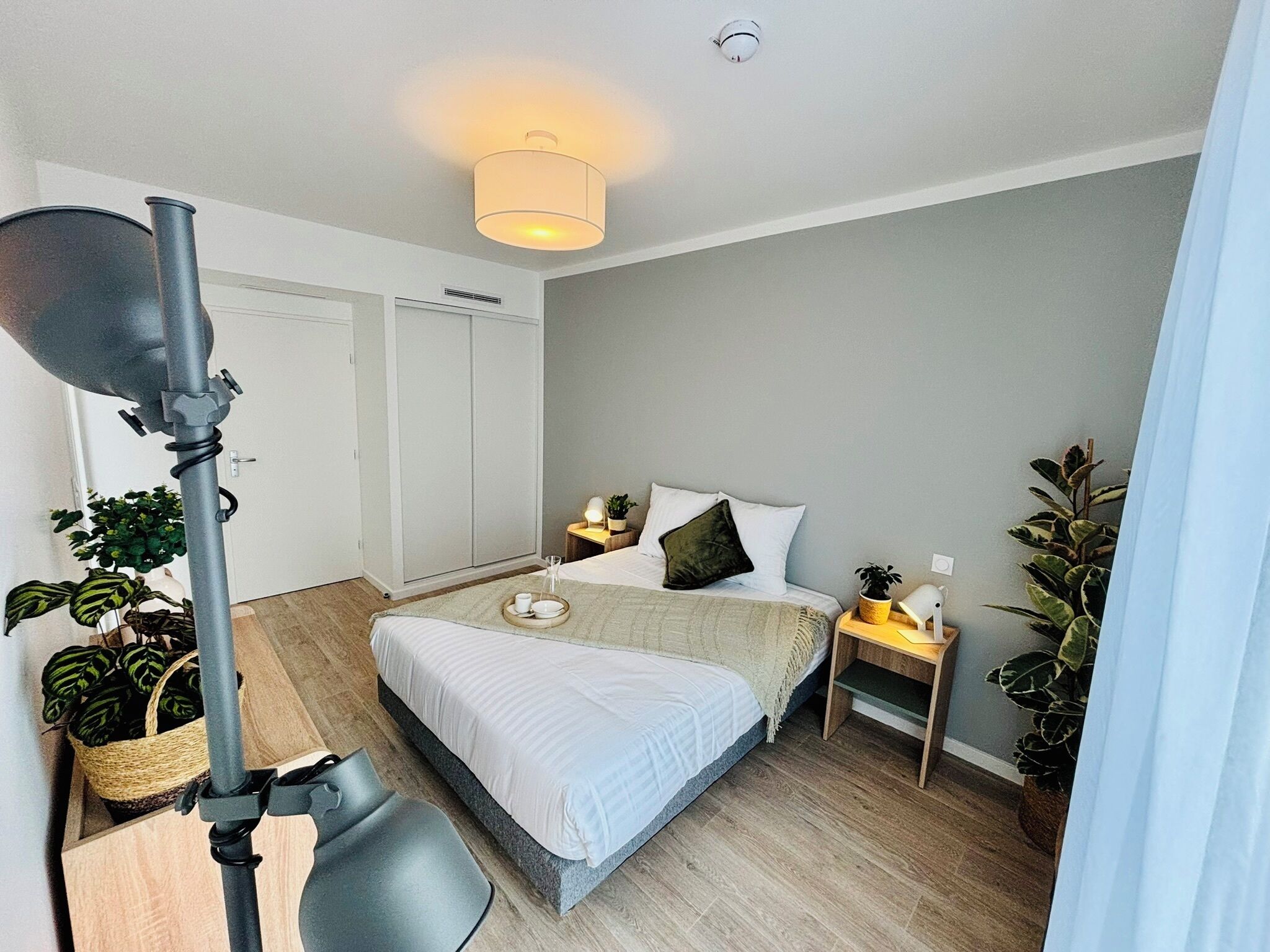 A modern bedroom with a bed, bedside tables, a lamp, and potted plants.
