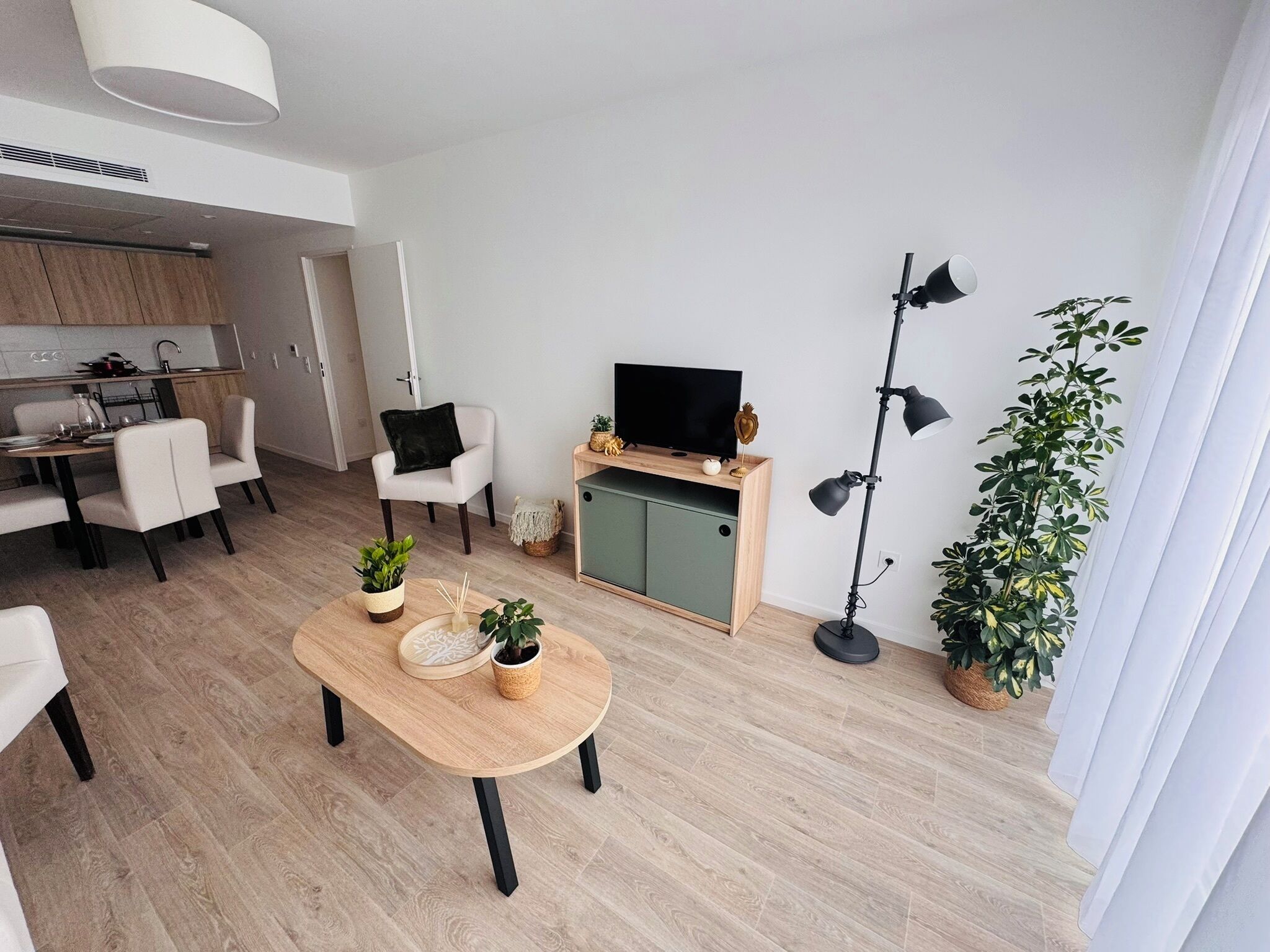 A modern living room with a dining area, a TV on a wooden stand, a floor lamp, and potted plants.