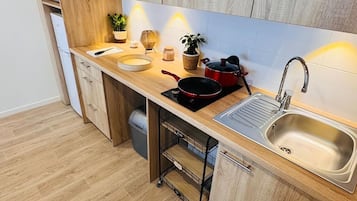 Family Apartment, Balcony | Private kitchenette | Fridge, microwave, stovetop, cookware/dishes/utensils