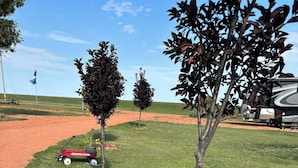 Une pelouse bien entretenue, avec un petit arbre et un pot de fleurs.