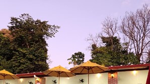 Zona de piscina con mobiliario exterior y sombrillas, rodeada de árboles.