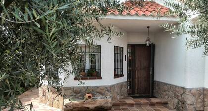 Warner Park and Puy du fou (20 minutes), ideal house for families, board games.