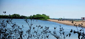 On the beach - Waterfront Cottage with Beach-walk to everything! (Huron)