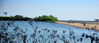 Waterfront Cottage with Beach-walk to everything!