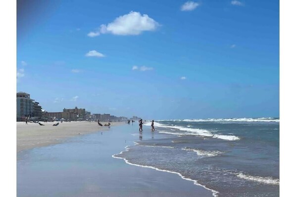 Beach - 2/2.5 townhome directly on the no-drive beach in New Smyrna (New Smyrna Beach)