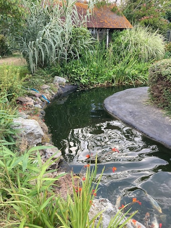 Property grounds. Cabane de Charme in the air