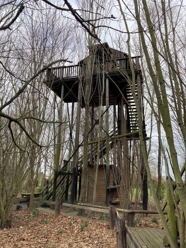 Una torre de madera para observar, con una escalera, rodeada de árboles sin hojas.