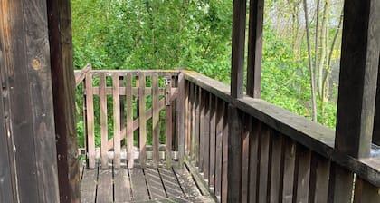 Cabane de Charme in the air