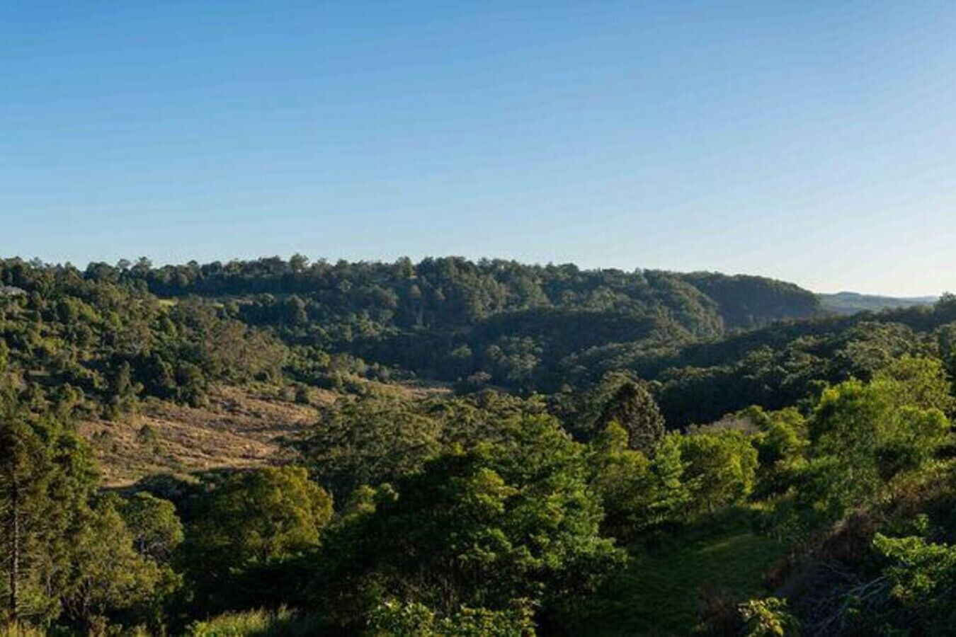 Eine gebirgige Landschaft mit dichtem Wald.