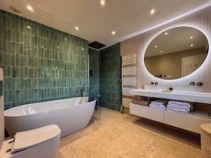 Shower, hair dryer, towels
