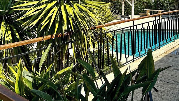 A pool area with a wooden deck and a tiled roof structure, surrounded by palm trees and a clear blue sky.
