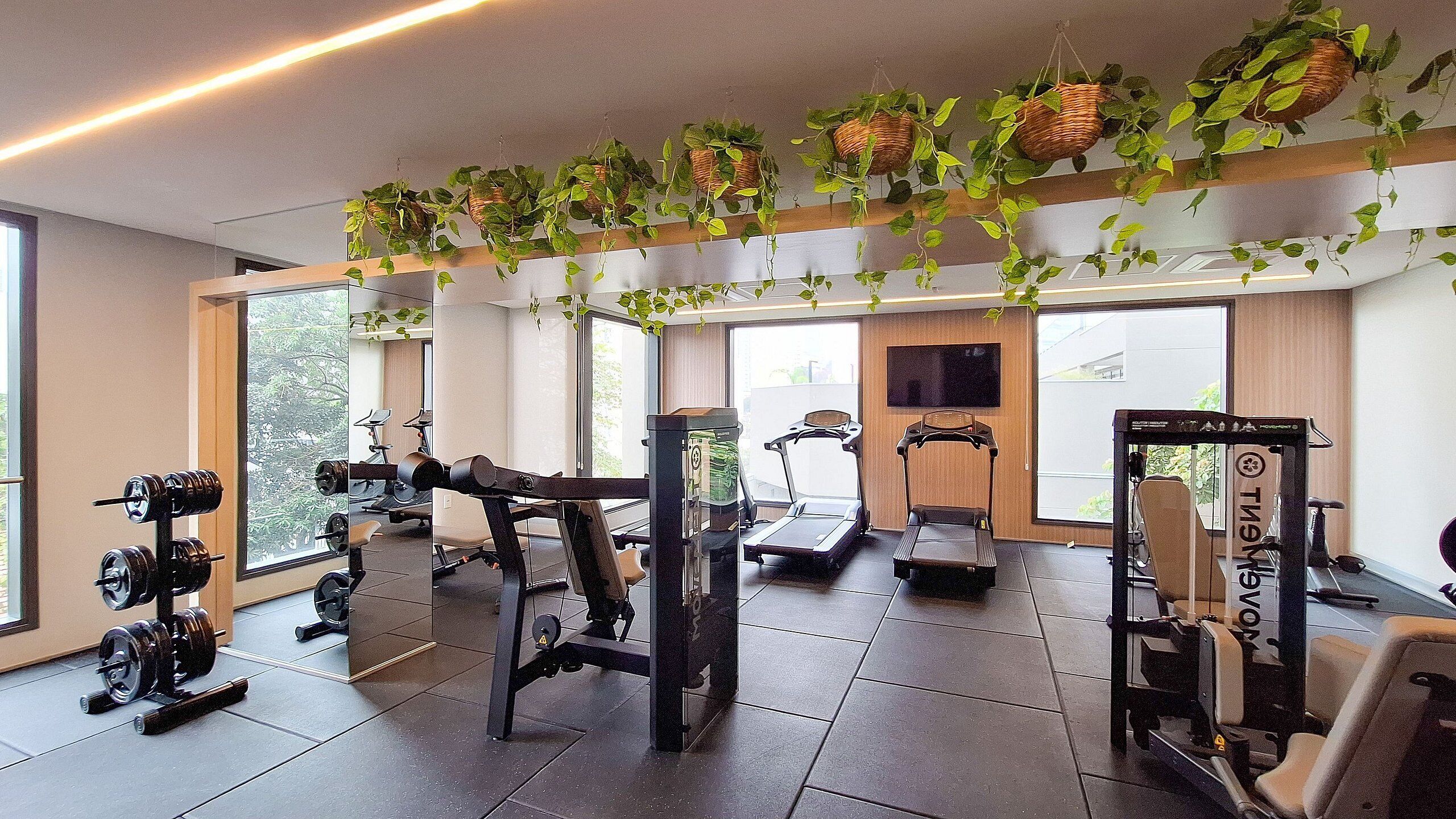 Area fitness