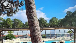 A poolside area with lounge chairs, a large tree, and a greenhouse structure in the background. - Mobilhome 6 pers (Vendays-Montalivet)
