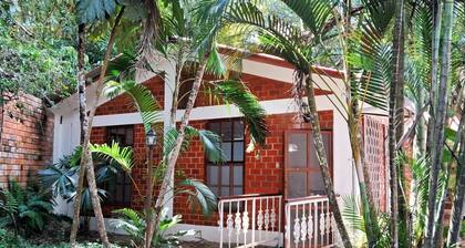 The Green Breeze of Tarapoto