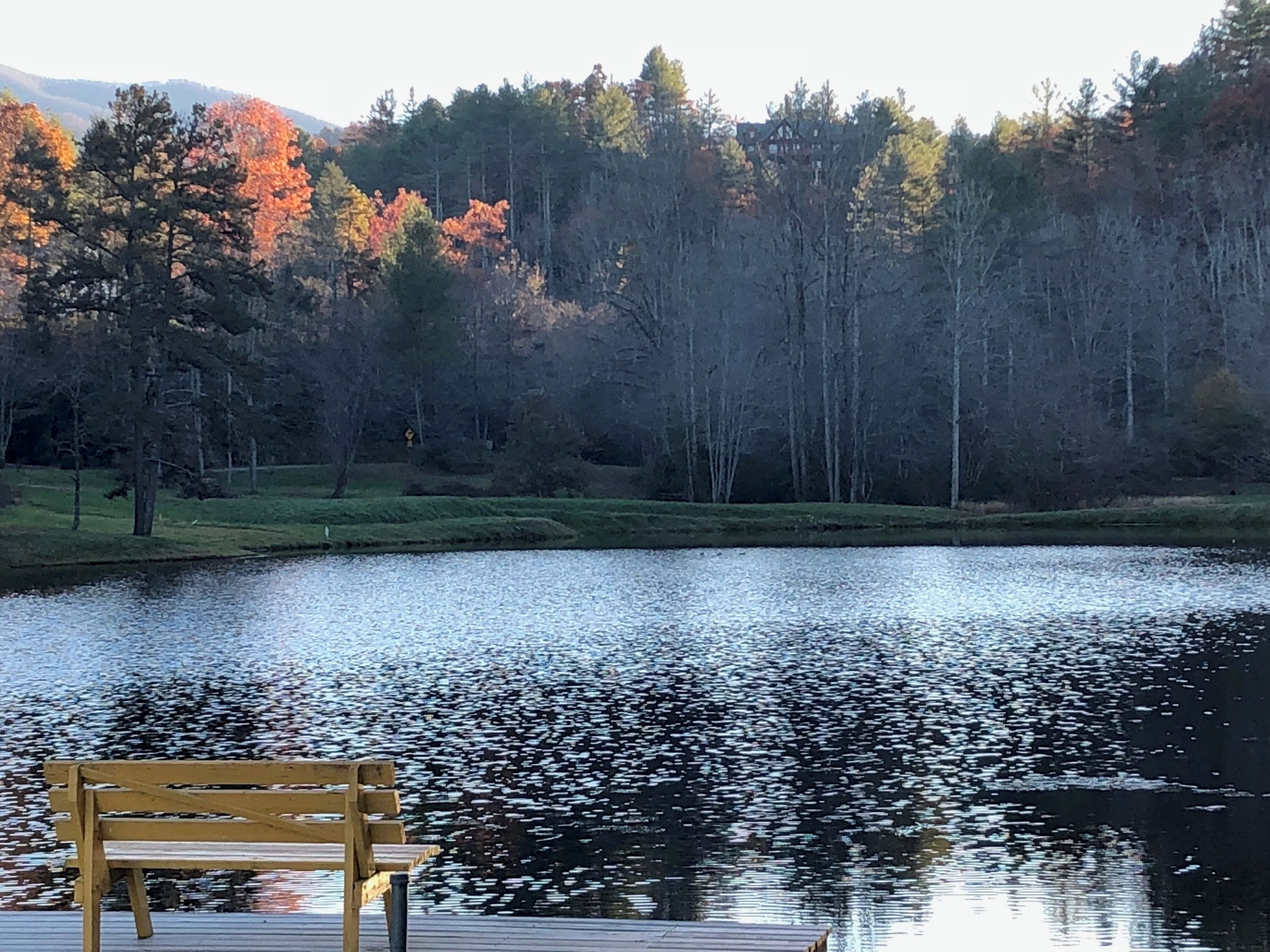 A wooden dock with a bench extending over a calm lake, surrounded by a forest with autumn-colored trees.