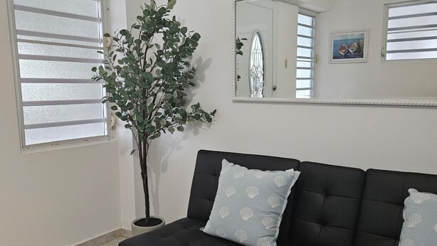 Un salon avec un canapé noir, une plante en pot, un grand miroir et une fenêtre avec des stores.