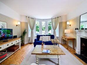 TV, fireplace, books