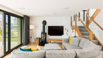 Televisie, een open haard en boeken