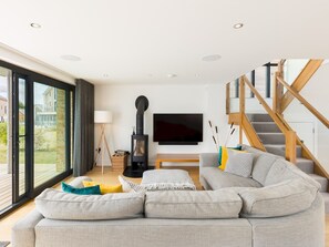 TV, fireplace, books