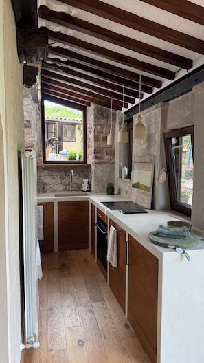 Fridge, oven, stovetop, dishwasher
