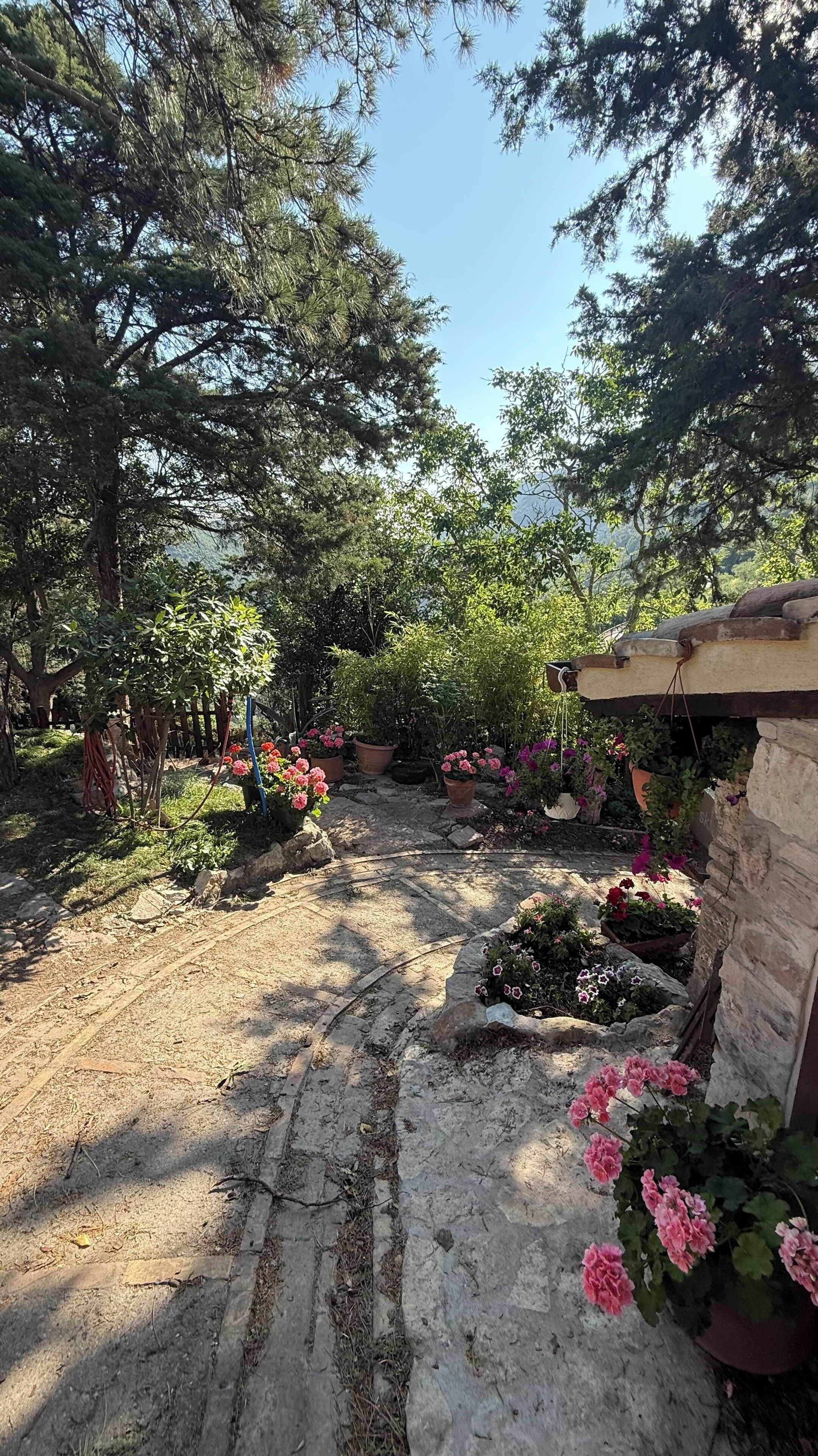Un jardin agrémenté de diverses plantes et fleurs en pot, un sentier en pierre et un bâtiment rustique doté d’un mur en pierre.