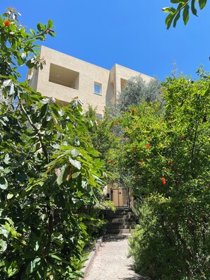 Front of property - Apartments Agape (Petrovac)