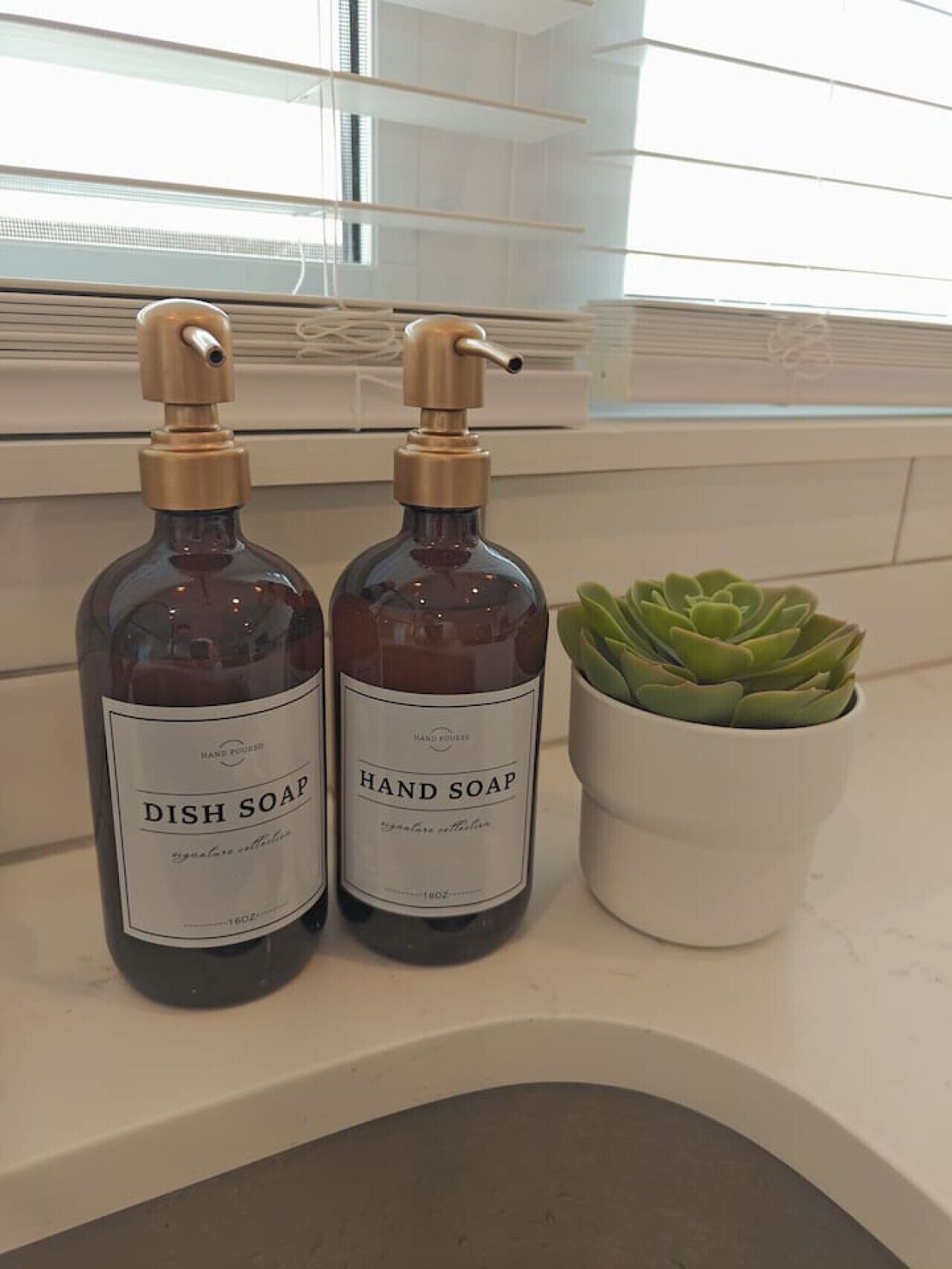 Two bottles of dish soap and hand soap on a bathroom counter next to a potted succulent.