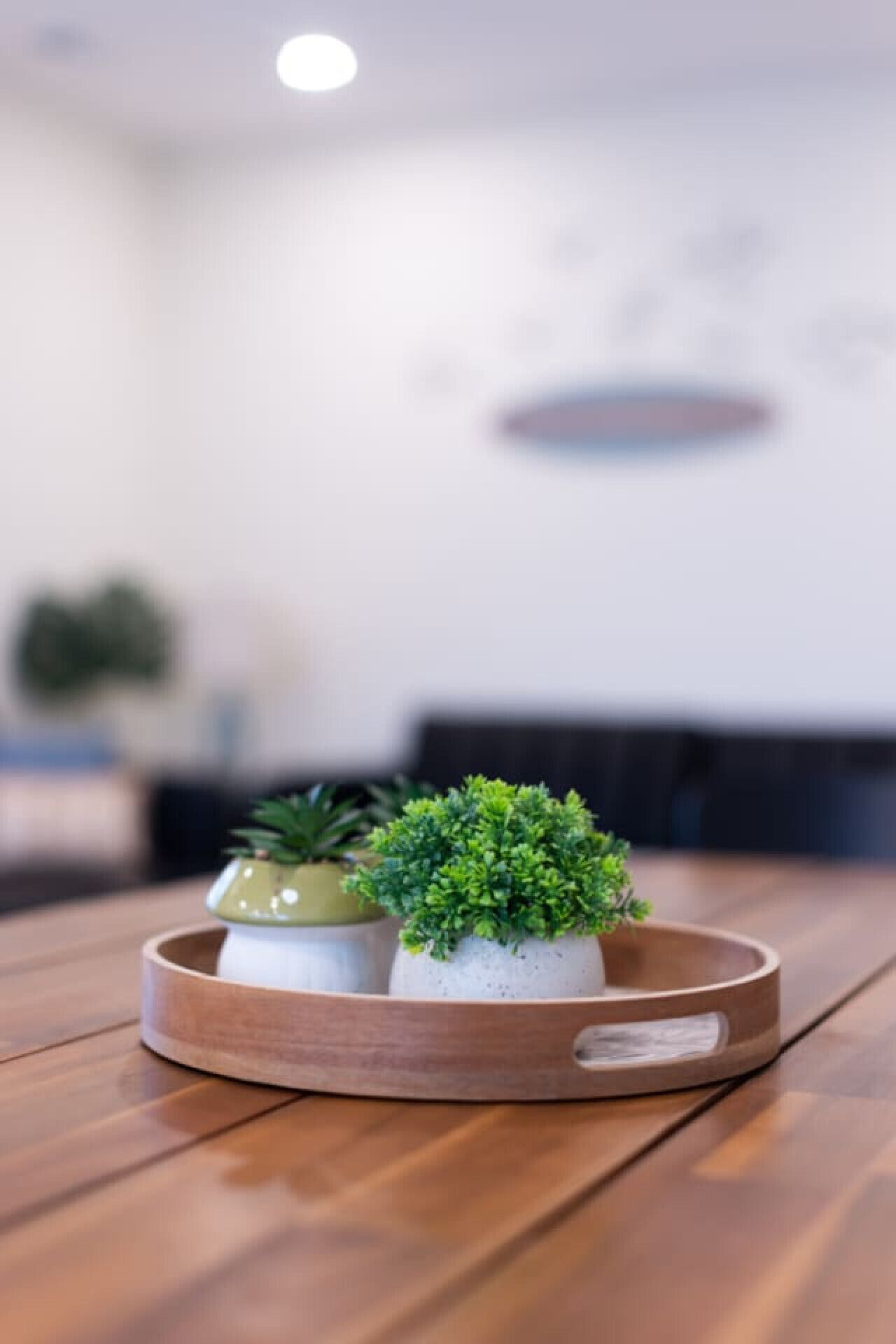 A wooden table with a round tray holding two potted plants.