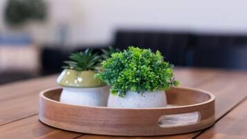 A wooden table with a round tray holding two potted plants.