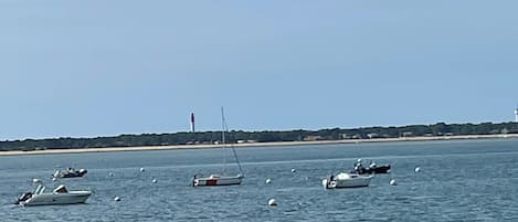在海灘附近