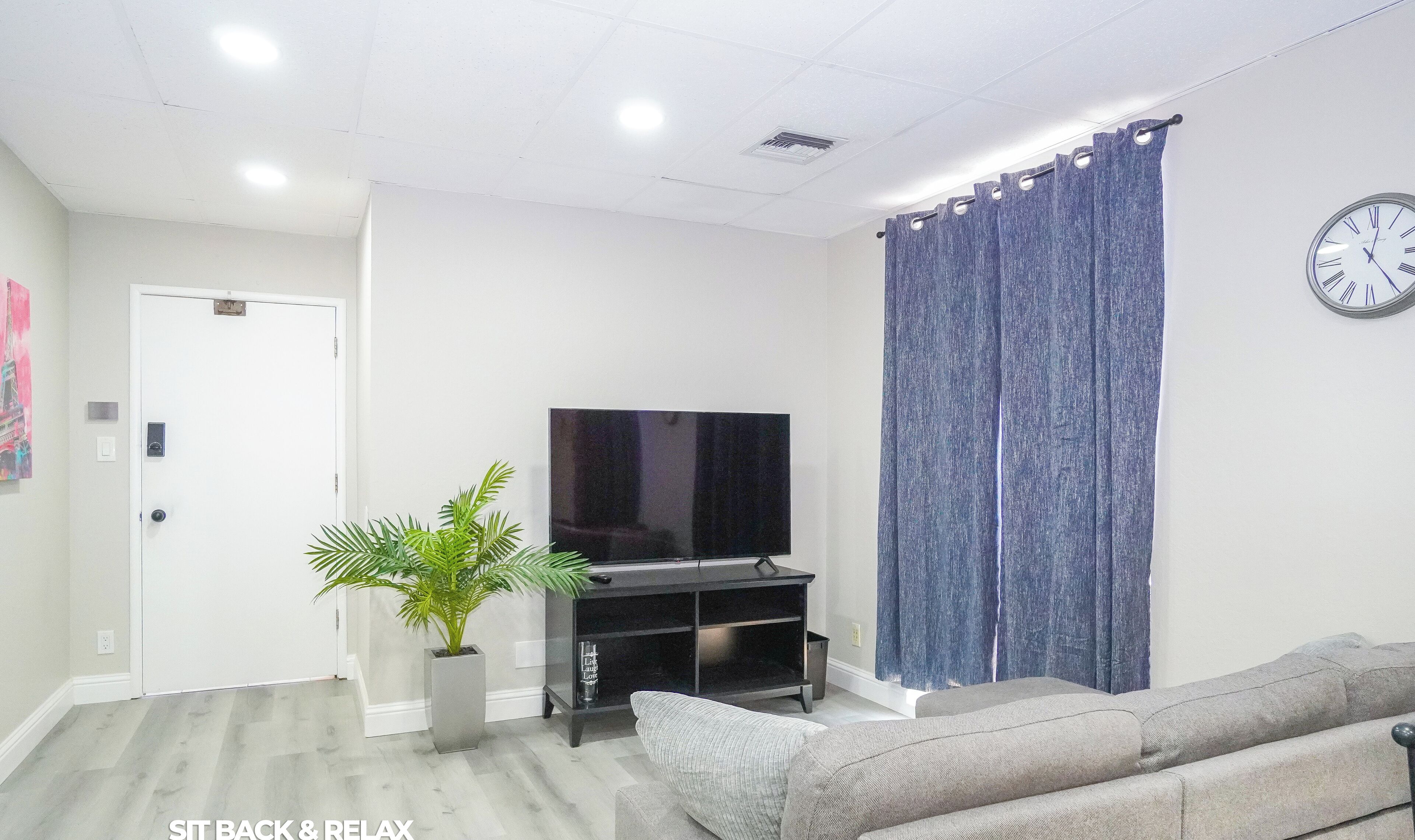 A living room with a flat-screen TV on a black stand, a grey sofa, a potted plant, and a blue curtain.