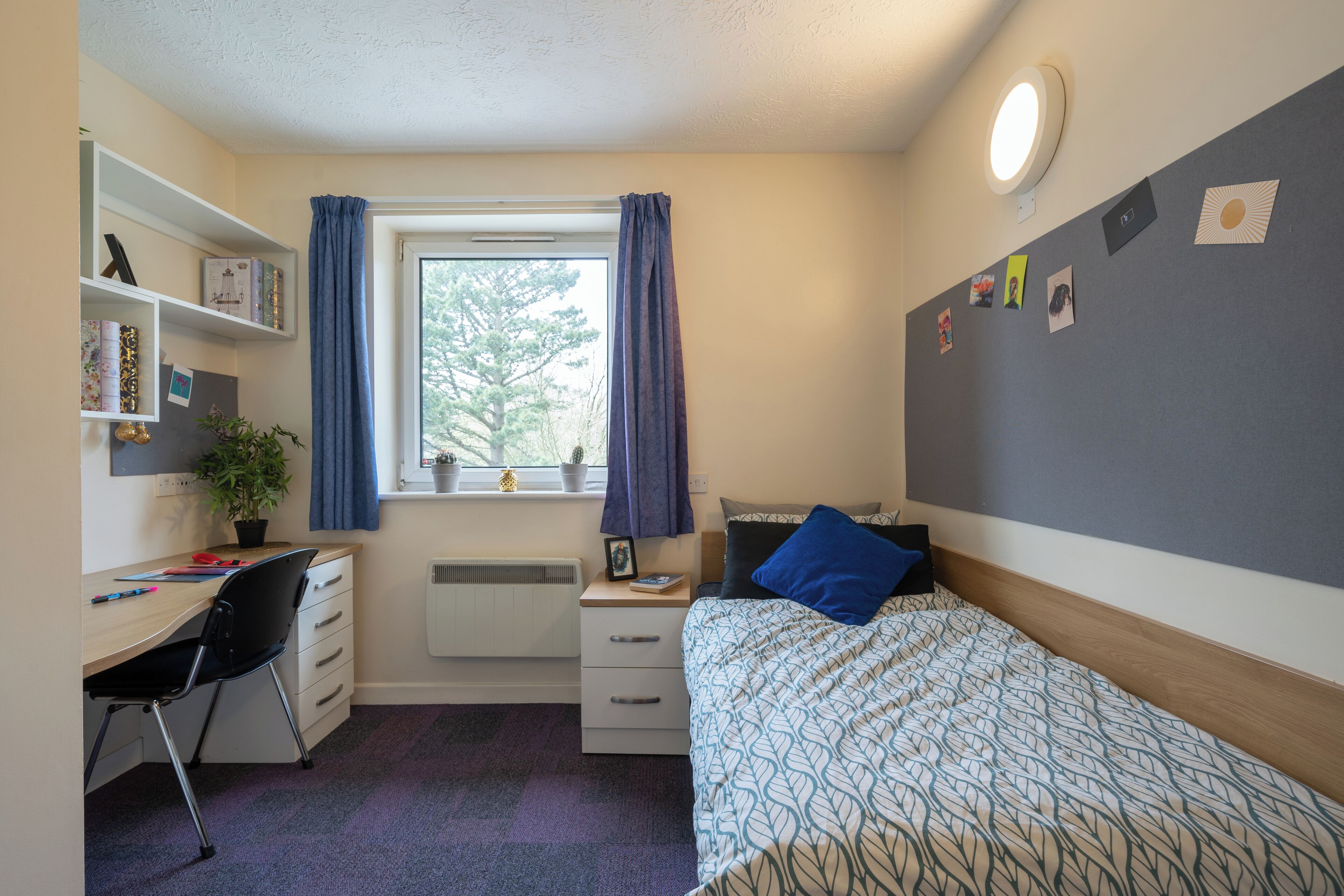 Single Room, Non Smoking | Free WiFi