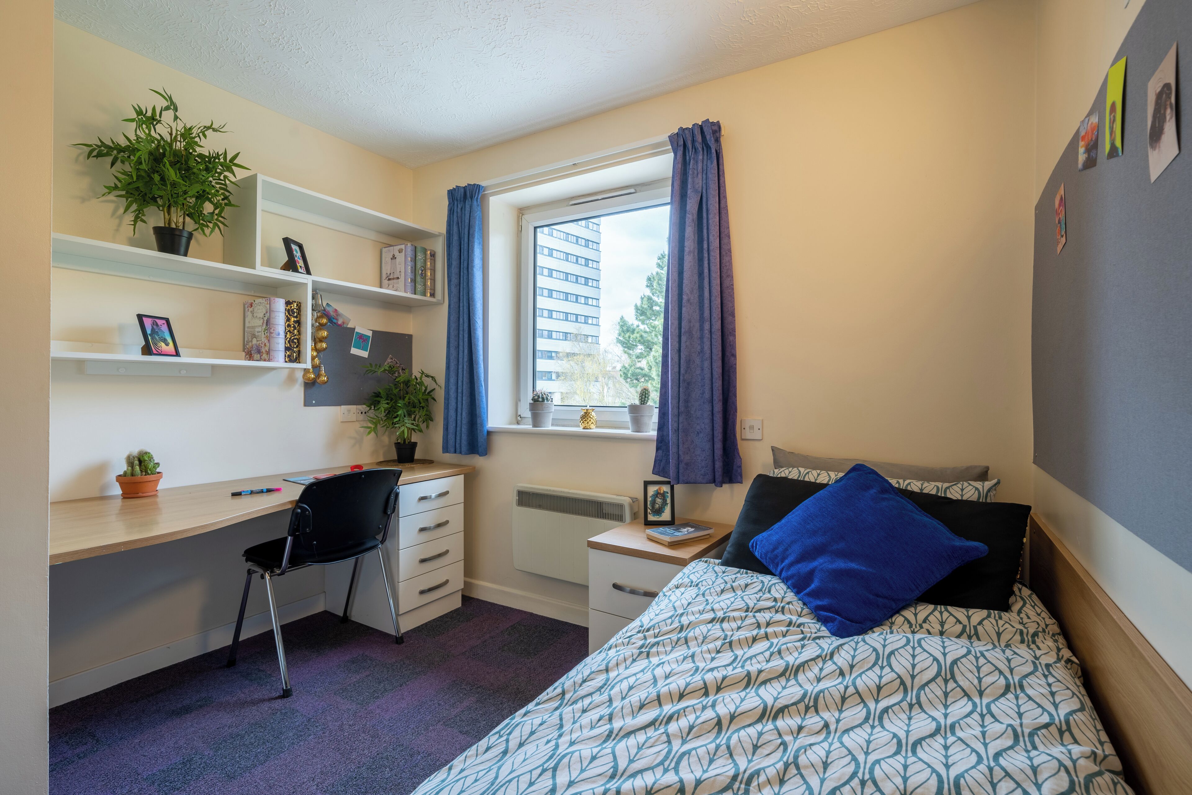 Habitación individual, para no fumadores | Wifi gratis 