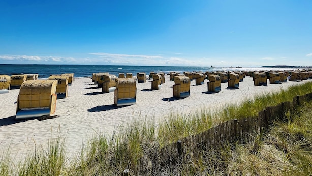 A beach with rows of wicker beach chairs and umbrellas.