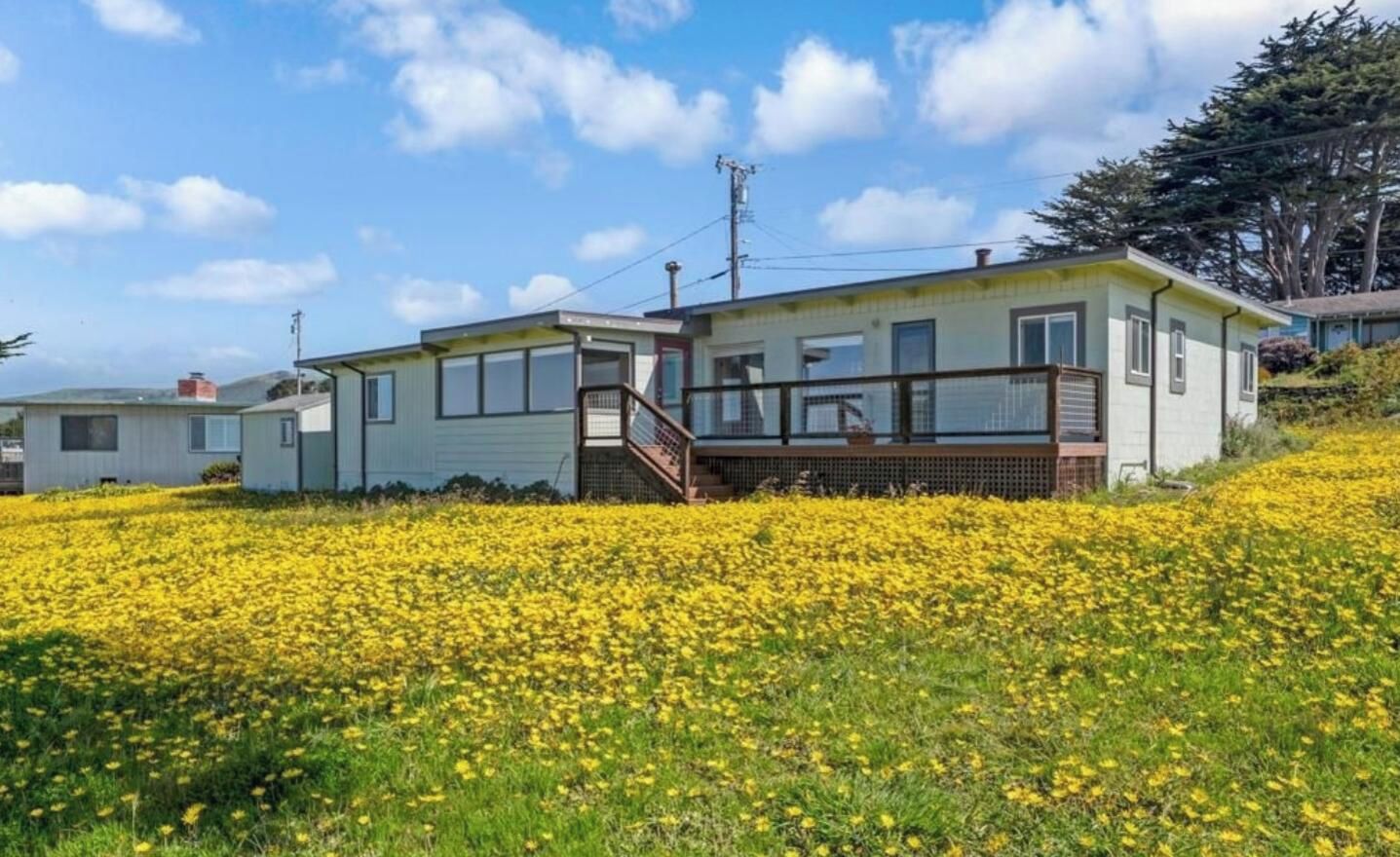 A single-story house with a deck, surrounded by a field of yellow flowers.