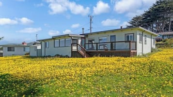 A single-story house with a deck, surrounded by a field of yellow flowers.