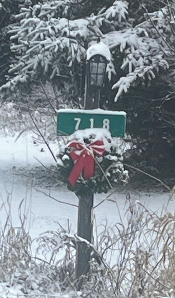 A house number sign with a red bow, surrounded by snow-covered vegetation.