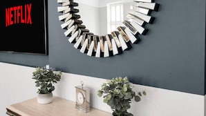 A modern room with a large mirror, a television displaying the Netflix logo, and two potted plants on a wooden table. - Modern Unique - Central Beach Access (Swansea)