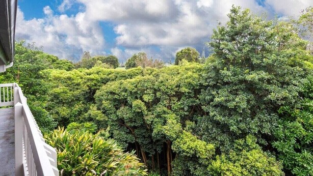A lush green landscape with dense foliage and a clear blue sky. - Heavenly Kauai Destinations Hale Moi Side B by Hideaways Beach (Princeville)